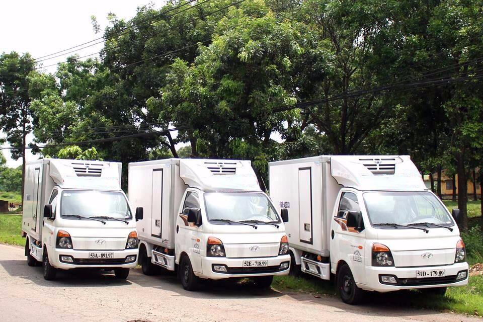 Vận chuyển bằng xe đông lạnh - Minh Phú Logistics - Công Ty TNHH Minh Phú Logistics